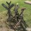 pipe-jacks-image-1
