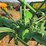 john-deere-gpwt-image-37
