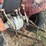 massey-ferguson-mf135-image-5