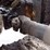 2009-case-621e-image-39