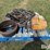 peterbilt-379-image-8