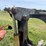 caterpillar-forestry-grapple-image-12