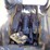 caterpillar-hydraulic-quick-coupler-image-12
