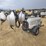 2016-wacker-neuson-ltn-6-image-11