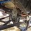 1999-chevrolet-silverado-monster-truck-image-8
