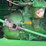 oliver-66-image-36