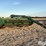 john-deere-1600-image-3