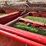#21205-•-mobile-zimmerman-sawmill-image-44