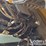2019-caterpillar-336-image-35
