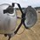 2016-wacker-neuson-ltn-6-image-10