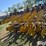 buffalo-4630-image-6