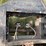 2000-midland-side-dump-trailer-image-20