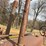 john-deere-a-image-46