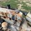 allis-chalmers-2800-image-11