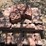 decorative-pavers-image-4
