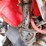 2006-honda-fourtrax-foreman-475cc-4wd-atv-1hfte317-image-9