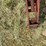 krause-12-image-8