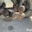 2022-massey-ferguson-730-image-18