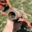 allis-chalmers-303-image-10