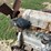 allis-chalmers-2800-image-15