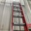 #4582-•-louisville-fiberglass-extension-ladder-image-4