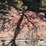 decorative-pavers-image-8