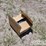 makita-xph03z-image-1