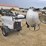 2014-wacker-neuson-ltn-6-image-11