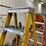 #4592-•-husky-fiberglass-step-ladder-image-2