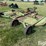 john-deere-15-image-5