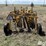 1996-vermeer-r23-image-6