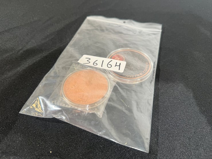 #36164-•-copper-bullions-round-.999,-lot-of-2-new-death-una-and-the-lion-image-9