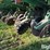 john-deere-1780-image-15
