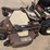 grasshopper-722d2-image-10