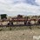 kent-series-v-image-6