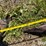 misc-farm-equipment-lot-image-11
