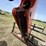 2011-jlg-skytrak-6042-4x4x4-telehandler-image-11