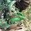 john-deere-6-image-10