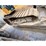 2019-caterpillar-d6t-lgp-image-7