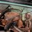 #47827-•-inop-1966-chevrolet-10-pickup-vin:-c1446s227719-image-50