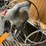 #4568-•-mr.-heater-buddy-heater-with-hose-image-3