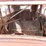 1930's-dodge-2dr-sedan-body-for-project-or-rod-image-3