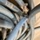 #4610-•-high-pressure-jack-hammer-hose-image-9