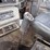 1993-mack-rd690s-image-18