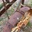 john-deere-no.5-image-7