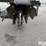 2026-massey-ferguson-730-image-14