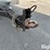 2016-massey-ferguson-730-image-17