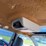 2007-dodge-grand-caravan-image-77