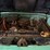 #47827-•-inop-1966-chevrolet-10-pickup-vin:-c1446s227719-image-46