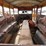 amazing-cool-1935-ford-short-school-bus-image-11